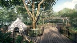 KI Residences at Brookvale (D21), Condominium #458002901